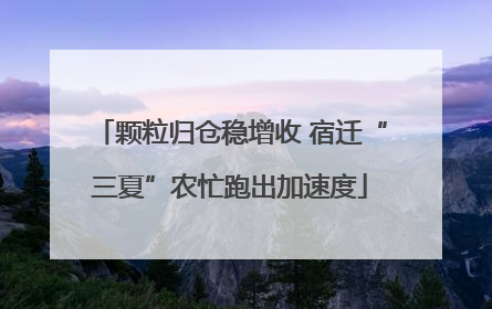 颗粒归仓稳增收 宿迁“三夏”农忙跑出加速度