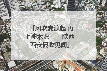 风吹麦浪起 再上神禾塬——陕西西安夏收见闻
