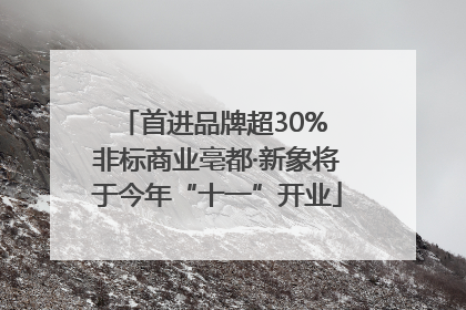 首进品牌超30% 非标商业亳都·新象将于今年“十一”开业