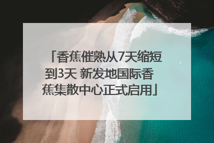 香蕉催熟从7天缩短到3天 新发地国际香蕉集散中心正式启用
