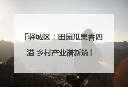 驿城区：田园瓜果香四溢 乡村产业谱新篇
