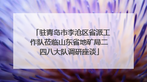 驻青岛市李沧区省派工作队莅临山东省地矿局二四八大队调研座谈