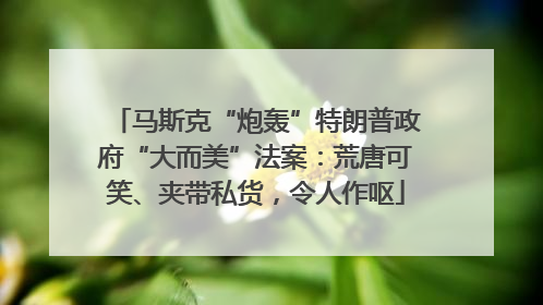 马斯克“炮轰”特朗普政府“大而美”法案：荒唐可笑、夹带私货，令人作呕