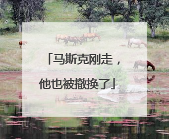 马斯克刚走，他也被撤换了