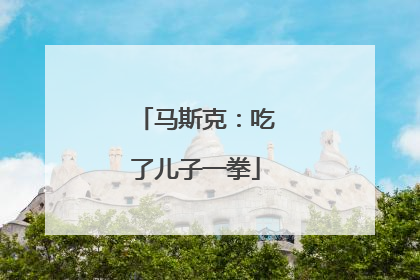 马斯克：吃了儿子一拳