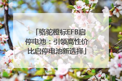 骆驼橙标EFB启停电池：引领高性价比启停电池新选择