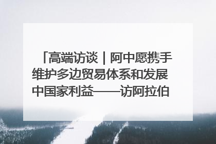 高端访谈｜阿中愿携手维护多边贸易体系和发展中国家利益——访阿拉伯议会议长亚马希