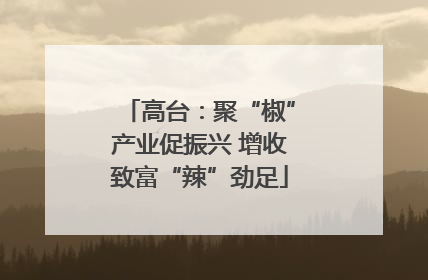 高台：聚“椒”产业促振兴 增收致富“辣”劲足