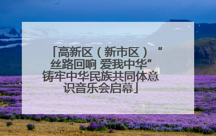 高新区（新市区）“丝路回响 爱我中华”铸牢中华民族共同体意识音乐会启幕