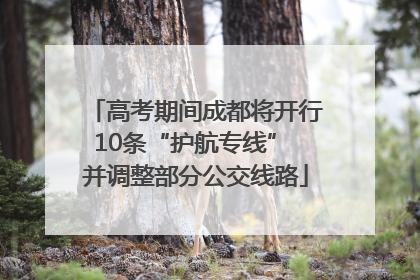 高考期间成都将开行10条“护航专线” 并调整部分公交线路