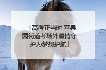 高考正当时 苹果园街道考场外温情守护为梦想护航