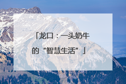 龙口：一头奶牛的“智慧生活”