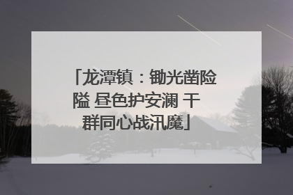 龙潭镇：锄光凿险隘 昼色护安澜 干群同心战汛魔