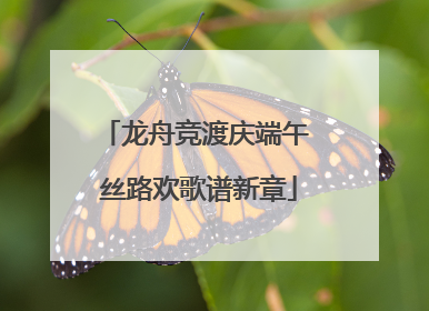 龙舟竞渡庆端午 丝路欢歌谱新章