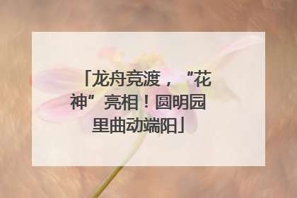 龙舟竞渡，“花神”亮相！圆明园里曲动端阳
