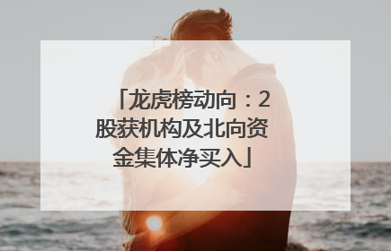 龙虎榜动向：2股获机构及北向资金集体净买入