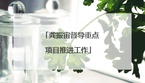 龚振宙督导重点项目推进工作