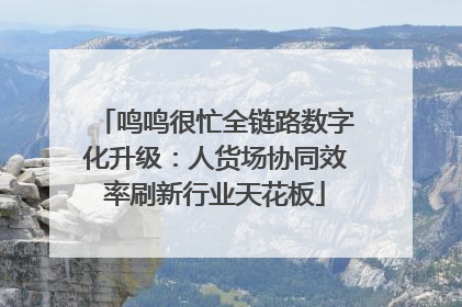鸣鸣很忙全链路数字化升级：人货场协同效率刷新行业天花板