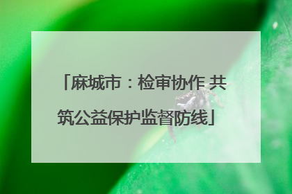 麻城市：检审协作 共筑公益保护监督防线