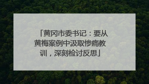 黄冈市委书记：要从黄梅案例中汲取惨痛教训，深刻检讨反思