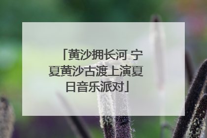 黄沙拥长河 宁夏黄沙古渡上演夏日音乐派对