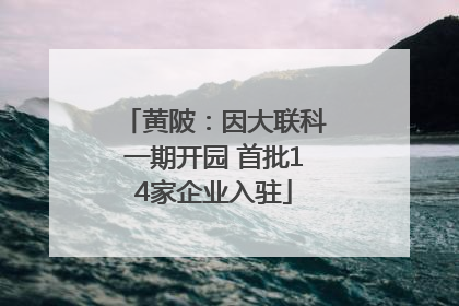 黄陂：因大联科一期开园 首批14家企业入驻
