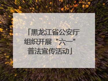 黑龙江省公安厅组织开展“六一”普法宣传活动