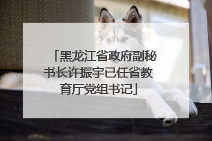 黑龙江省政府副秘书长许振宇已任省教育厅党组书记
