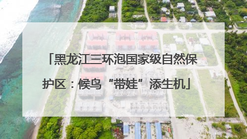 黑龙江三环泡国家级自然保护区：候鸟“带娃”添生机