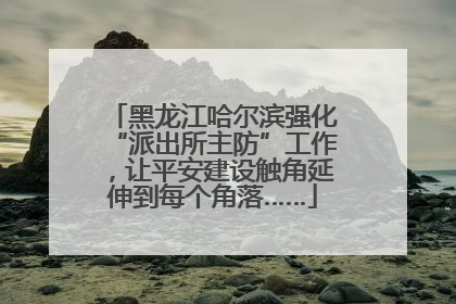 黑龙江哈尔滨强化“派出所主防”工作，让平安建设触角延伸到每个角落……