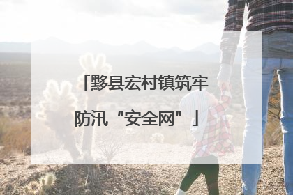 黟县宏村镇筑牢防汛“安全网”