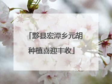 黟县宏潭乡元胡种植喜迎丰收