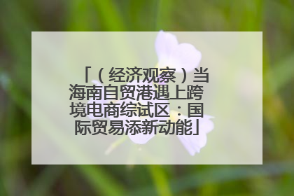 （经济观察）当海南自贸港遇上跨境电商综试区：国际贸易添新动能