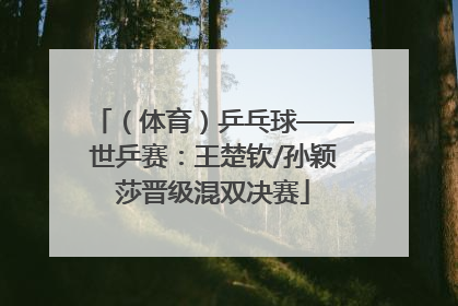 （体育）乒乓球——世乒赛：王楚钦/孙颖莎晋级混双决赛