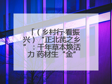 （乡村行·看振兴）“正北芪之乡”：千年草本焕活力 药材生“金”富农家