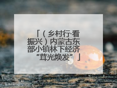 （乡村行·看振兴）内蒙古东部小镇林下经济“茸光焕发”