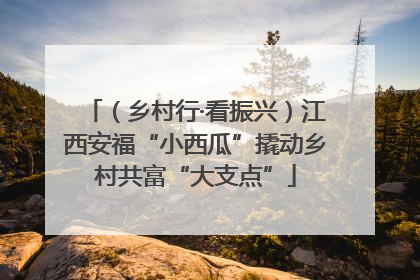 （乡村行·看振兴）江西安福“小西瓜”撬动乡村共富“大支点”