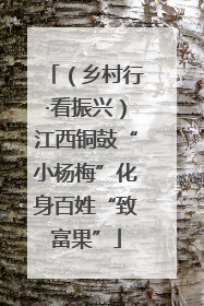 （乡村行·看振兴）江西铜鼓“小杨梅”化身百姓“致富果”