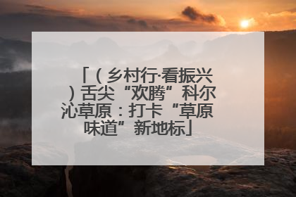 （乡村行·看振兴）舌尖“欢腾”科尔沁草原：打卡“草原味道”新地标