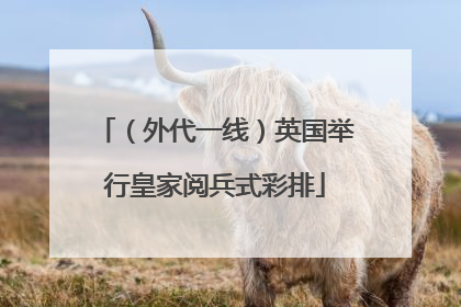 （外代一线）英国举行皇家阅兵式彩排