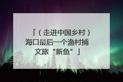 （走进中国乡村）海口最后一个渔村捕文旅“新鱼”