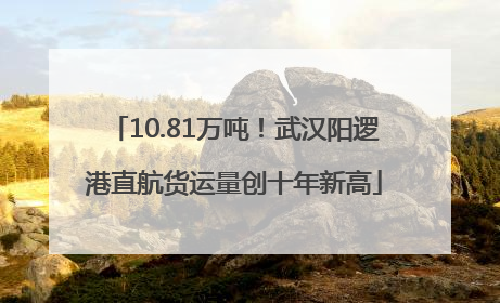 10.81万吨！武汉阳逻港直航货运量创十年新高
