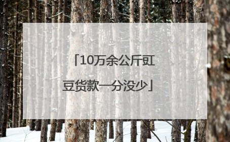 10万余公斤豇豆货款一分没少