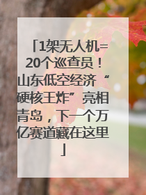 1架无人机=20个巡查员！山东低空经济“硬核王炸”亮相青岛，下一个万亿赛道藏在这里