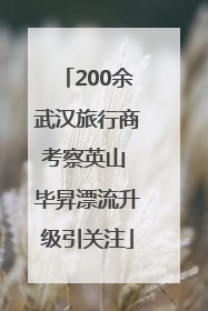 200余武汉旅行商考察英山 毕昇漂流升级引关注