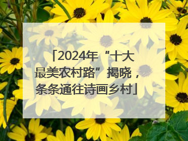 2024年“十大最美农村路”揭晓，条条通往诗画乡村