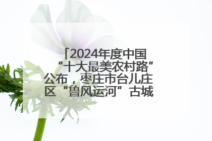 2024年度中国“十大最美农村路”公布，枣庄市台儿庄区“鲁风运河”古城文化廊道上榜！