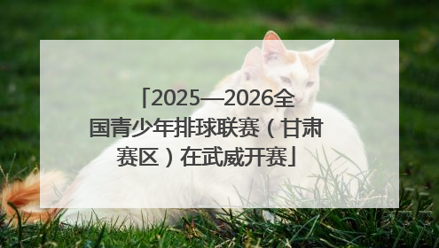 2025—2026全国青少年排球联赛（甘肃赛区）在武威开赛