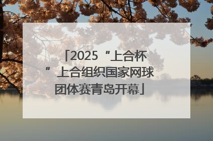 2025“上合杯”上合组织国家网球团体赛青岛开幕