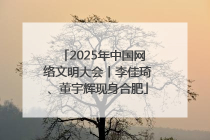 2025年中国网络文明大会丨李佳琦、董宇辉现身合肥